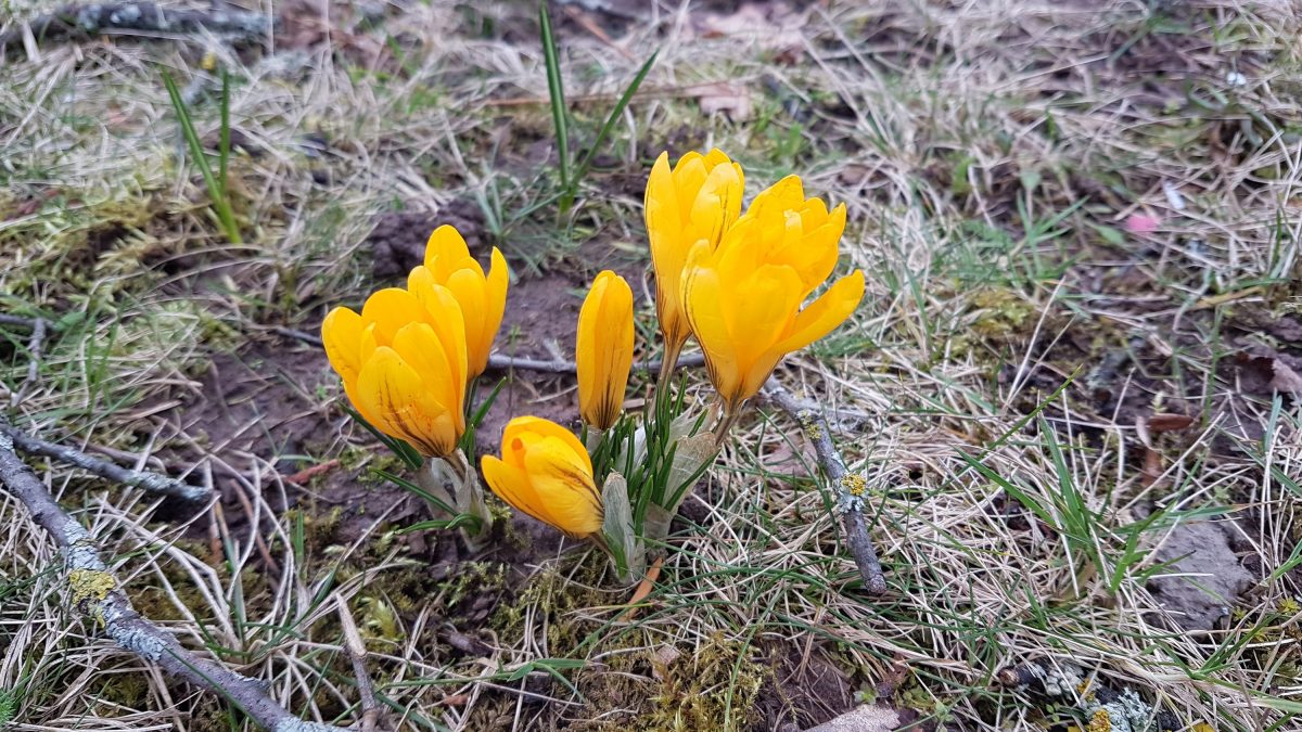 Zwei schöne Bilder von heute