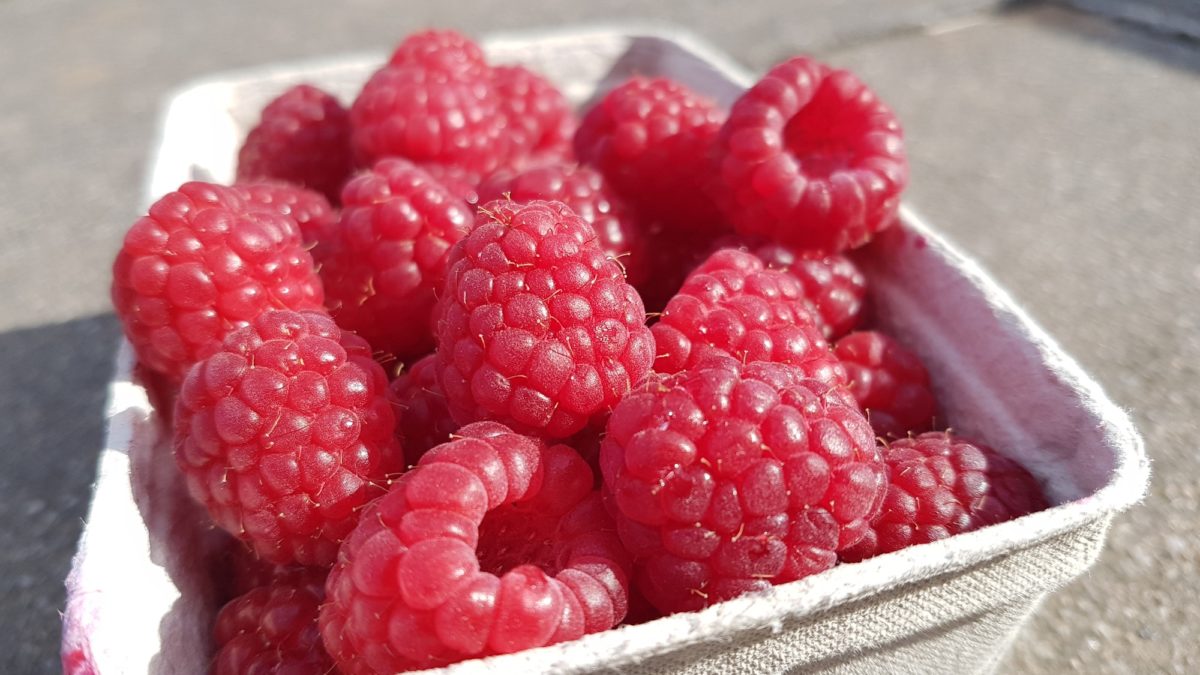 Himbeeren