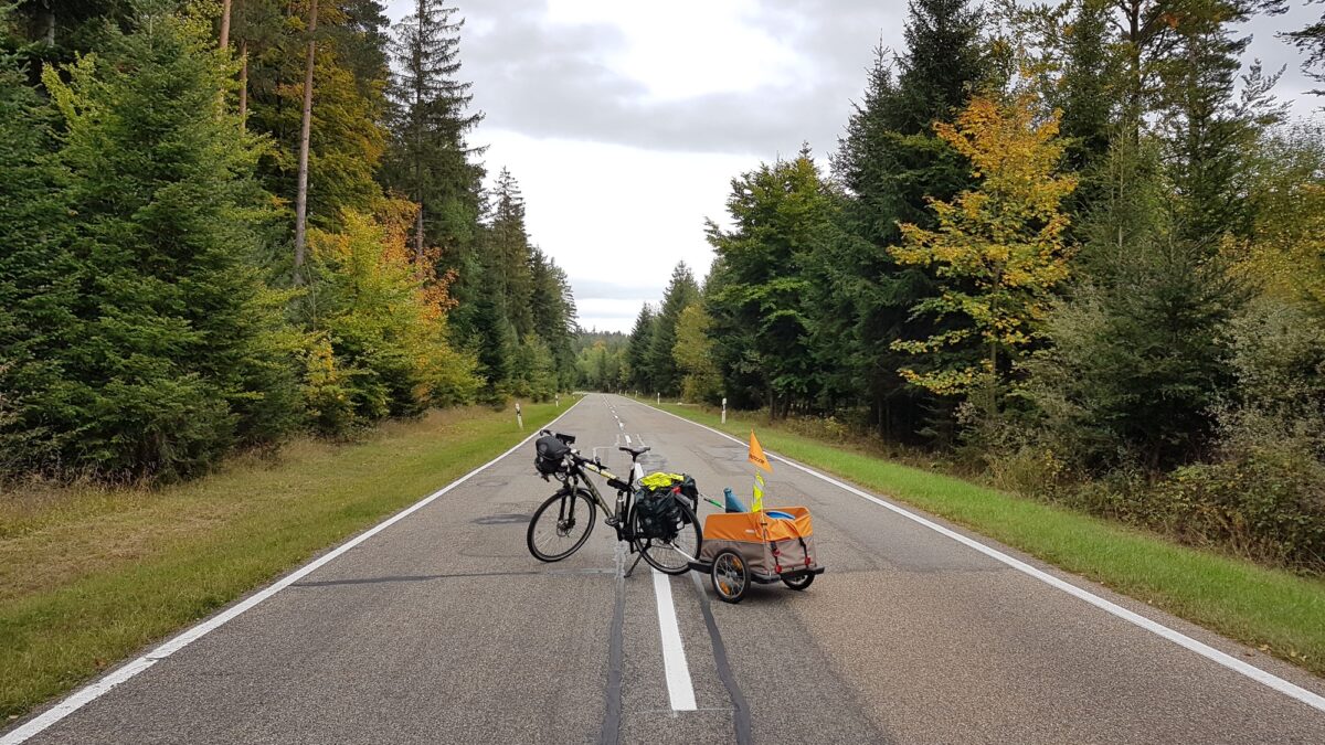 Kein Müll mehr auf der L574 zwischen Schellbronn und Neuhausen – fast